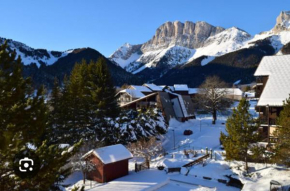 Petit studio mansardé 18 m2 avec navette gratuit aux pistes de ski